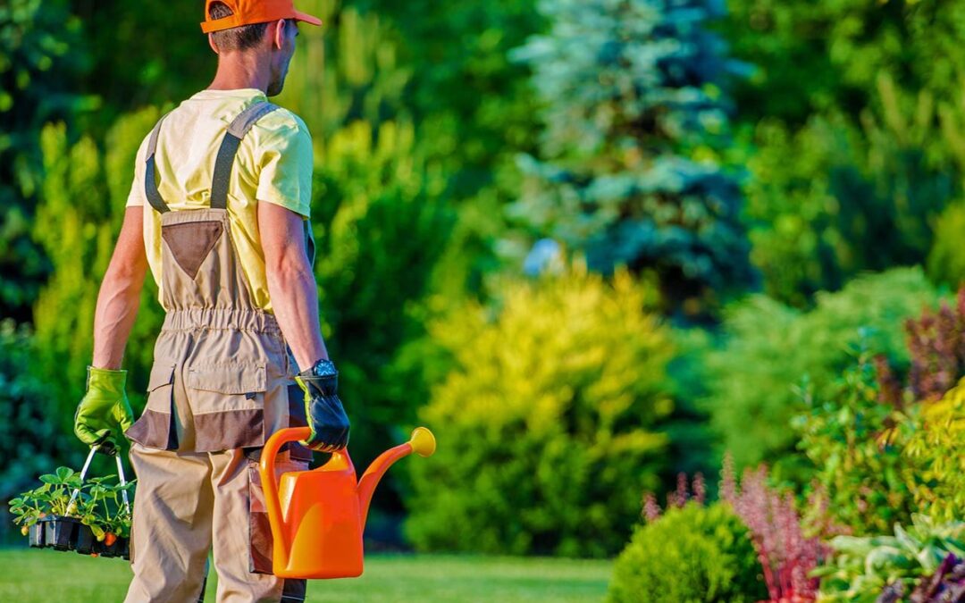 Leaves Should Be Shredded Before Used as Mulch