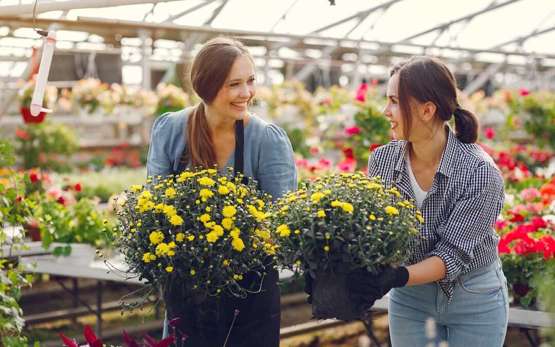 What You Can Grow In Shady Spaces