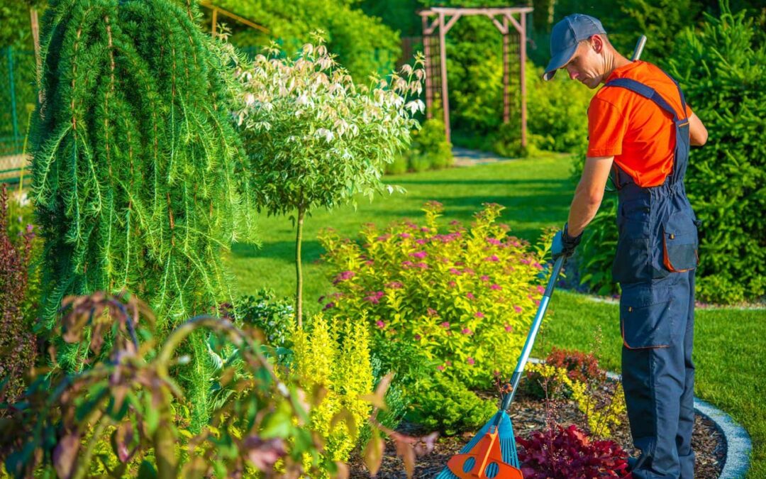How to Get Rid of Crabgrass for Good