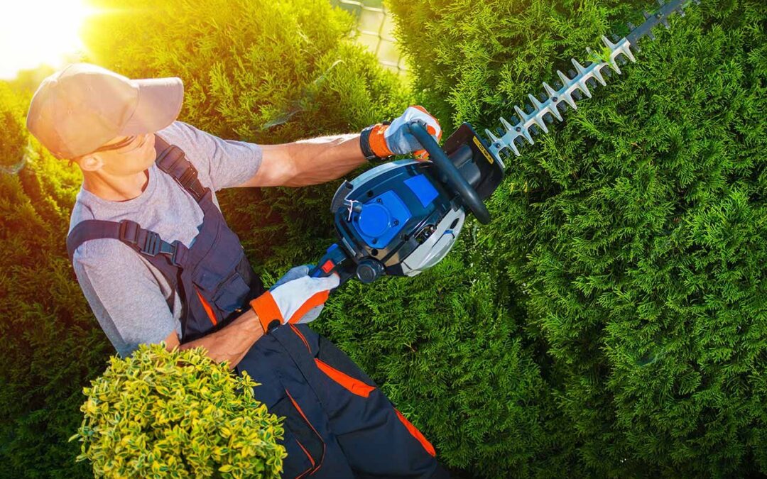 Why The Landscaper Is The Best For Business