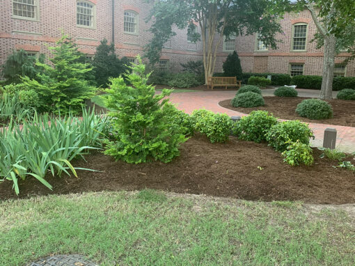 Mulch