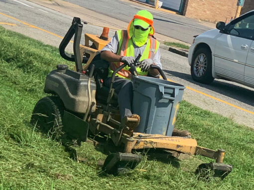 Lawn Maintenance